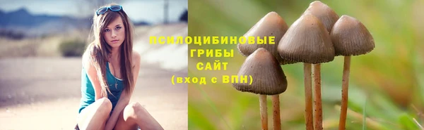 MESCALINE Вязники